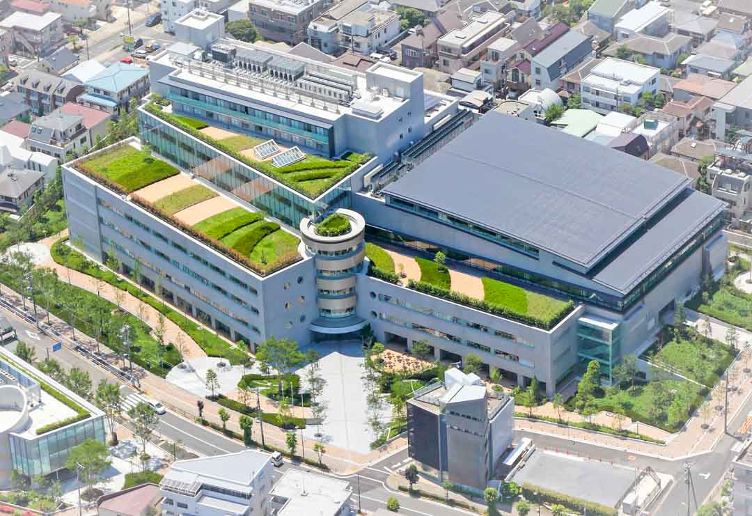 法学部